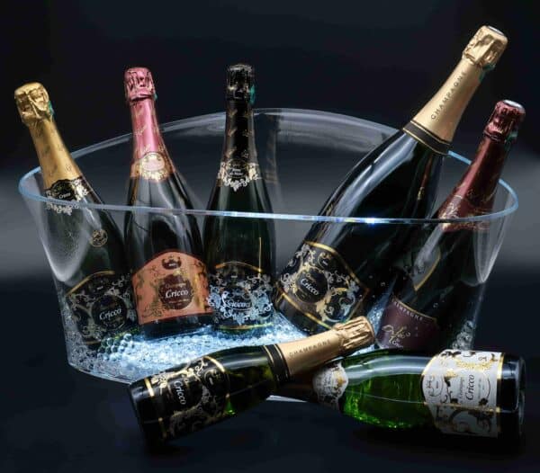 DÉCOUVRIR CHAMPAGNE CRICCO