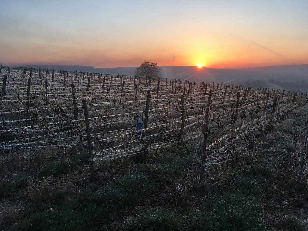 Domaine viticole de champagne Aisne 